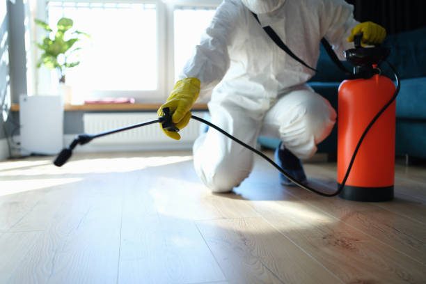 Reliable Sewage Cleanup contractor in Fairview Heights, IL by Trauma Clean Pros
